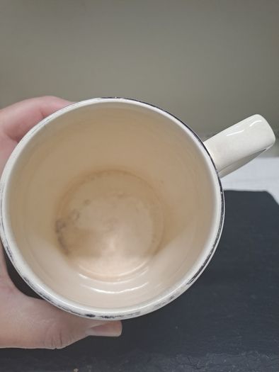 Vintage Sandland The Ashes 1883 Cricket Mug