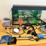 Aquarium Image 3