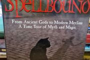 spellbound by Dominic Alexander