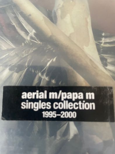 Papa M  (Dave Pajo / Slint / Arial M) - Hole Of Burning Alms