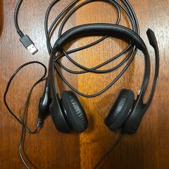 Logitech Headphones with Microphone