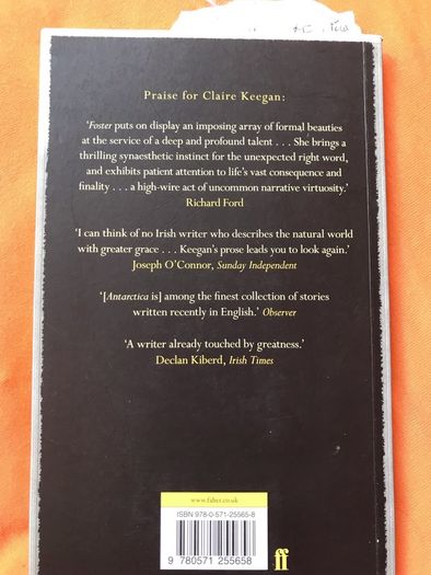 Foster - Claire Keegan