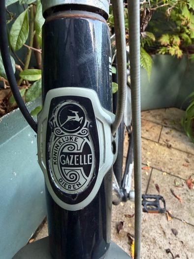 Gazelle Bike
