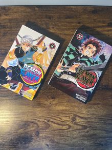 Demon Slayer Episode 9,10 Bundle