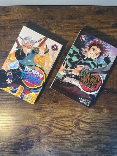 Demon Slayer Episode 9,10 Bundle