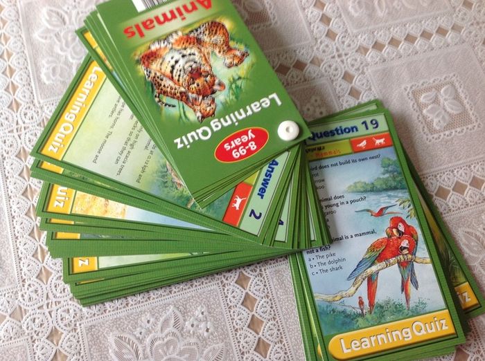 Learning Quiz : Animals