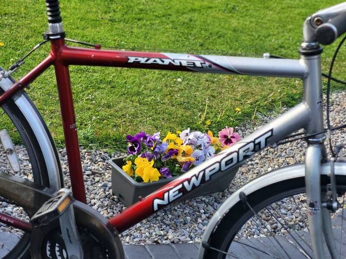 H. Gents Bike
