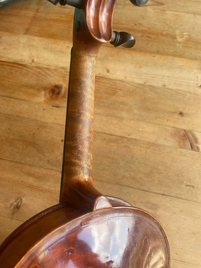Violin