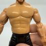 wwe Animal action figure Image 2