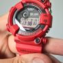 Casio Frogman Image 2