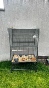 XXL Canaries / Bird Cage