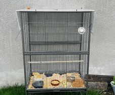 XXL Canaries / Bird Cage