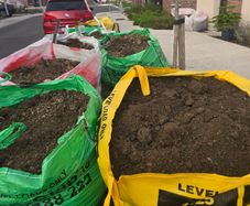 Free Top soil