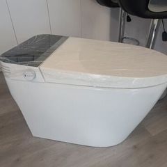 Smart toilet