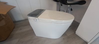 Smart toilet