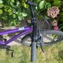 bike Image 4