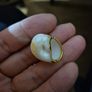 Vintage Shell Pendant and Necklace Image 4