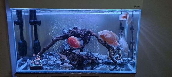 Tank 125 L Aquael