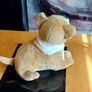English  Bulldog Stuffed Image 2
