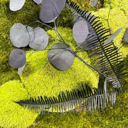 Classic Beauty 40x50cm - natural moss