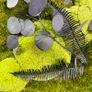 Classic Beauty 40x50cm - natural moss Image 3