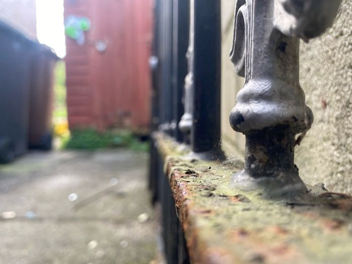 Driveway Iron Gates