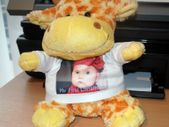 Personalised Giraffe Plush Toy Great Gift Present For Newborn