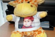 Personalised Giraffe Plush Toy Great Gift Present For Newborn