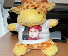 Personalised Giraffe Plush Toy Great Gift Present For Newborn