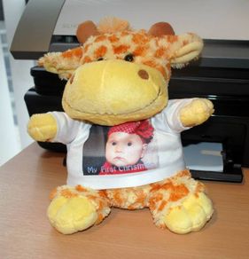 Personalised Giraffe Plush Toy Great Gift Present For Newborn