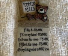 Toddler funny rules wall mounted sign