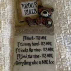 Toddler funny rules wall mounted sign