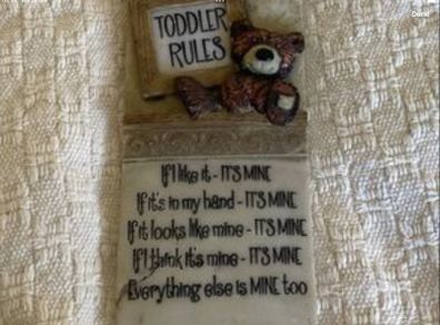 Toddler funny rules wall mounted sign