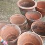 old terracotta pots Image 3