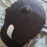 Horse Riding Helmet Image 4