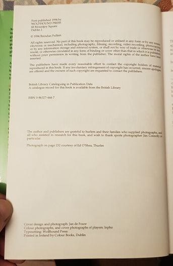 Hurling Giants by Brendan Fullam