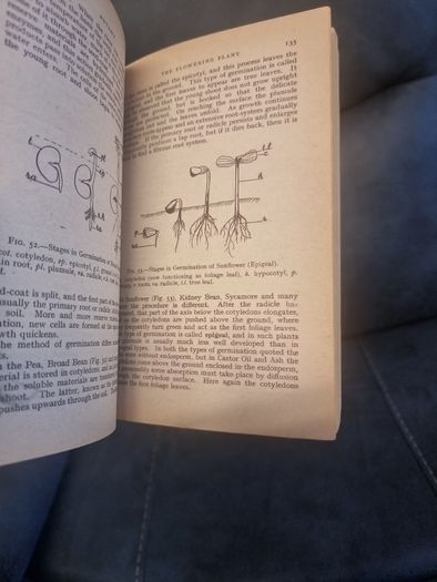 Teach Yourself  Botany