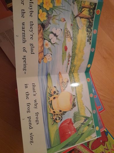 Children's books/fold outs x43