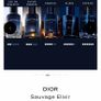 DIOR Sauvage Elixir 100ml for him Image 2