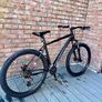 mountain bike carrera Image 3