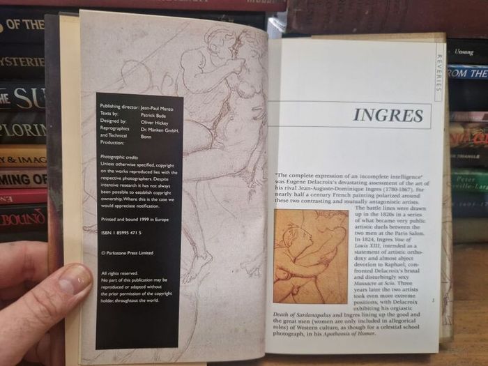 ingres by patrick bade