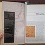 ingres by patrick bade Image 2