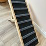 Dog Ramp Image 2