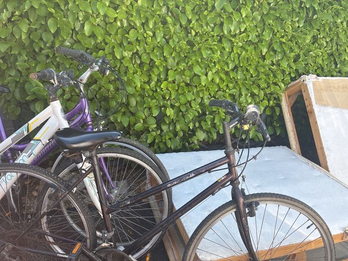 Bikes Adult