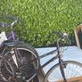Bikes Adult Image 2