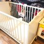 Cot Image 7