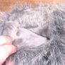 ladies winter boots size 7 Image 3