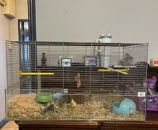 cage