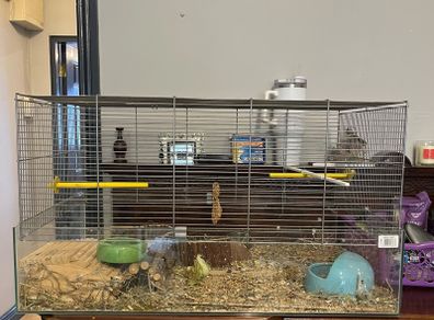 cage