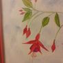 Watercolour. Image 7